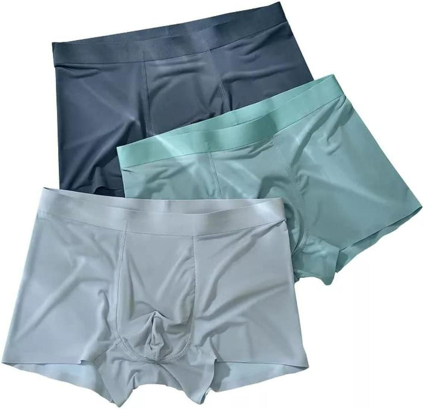 Men's Ice Silk Briefs Boxers (Pack of 5) - Faydekasauda
