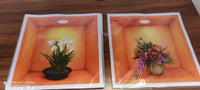 Removable Wall Decor Stickers (Set of 4) - Faydekasauda