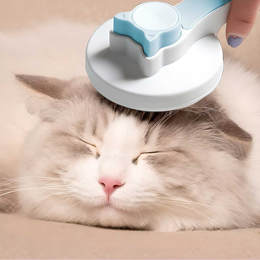   Pet Hair Removal Brush - Faydekasauda 