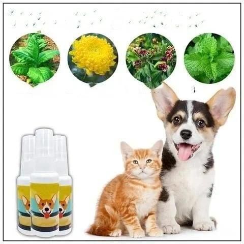   Natural Potty Training Spary for Dog & Cat (Pack of 2) 30ml each - Faydekasauda 