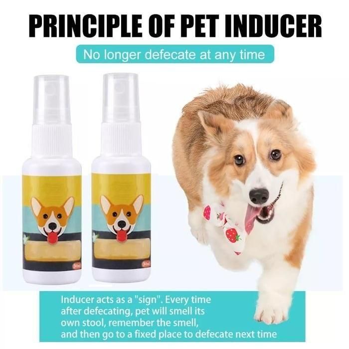   Natural Potty Training Spary for Dog & Cat (Pack of 2) 30ml each - Faydekasauda 