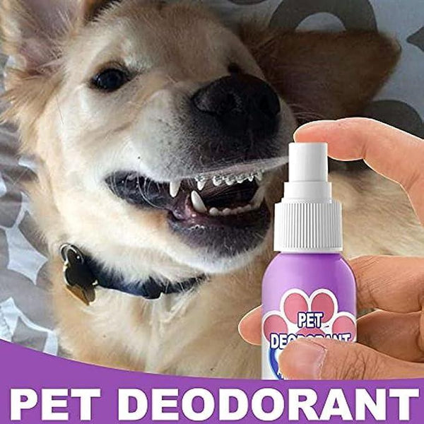   Oral Spray For Dogs & Cats - Faydekasauda 